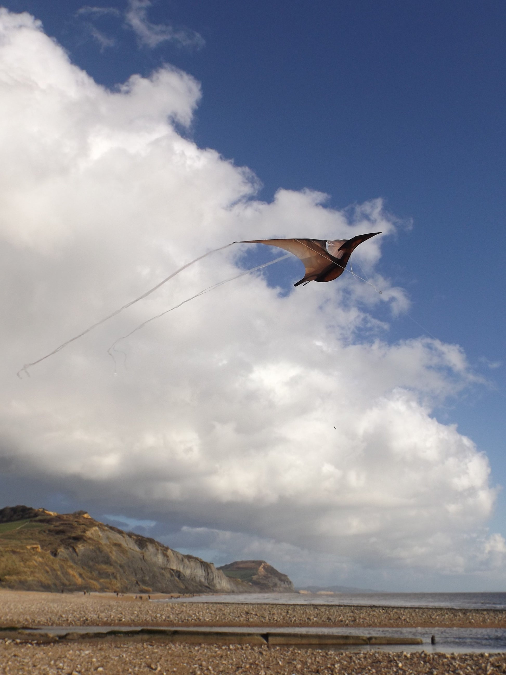 Pterodactyl kite flying over Charmouth beach