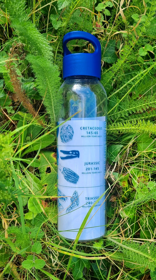 Jurassic Coast Nimbus Water Bottle