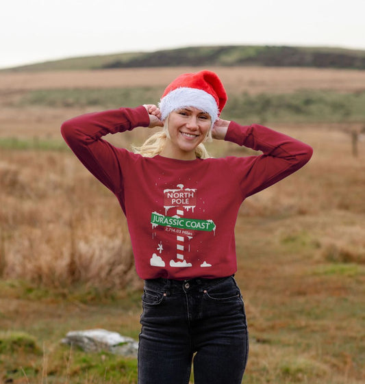 Womens Jurassic Festive Crew Neck Sweater