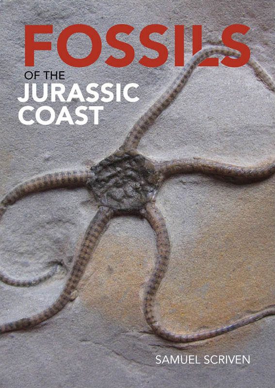 fossils of the jurassic coast book